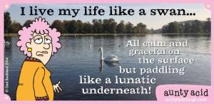 1511516_490610144381287_1649510542_n