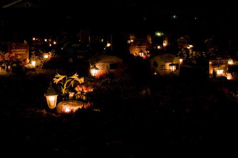 1422383_612951668753117_1305076029_n