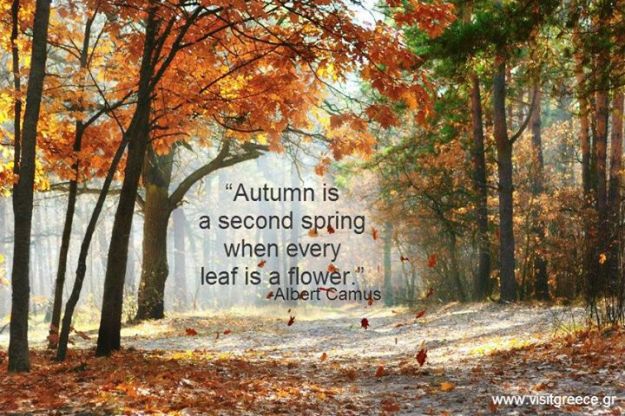 10298970_10154754060230641_6049416057550250015_n